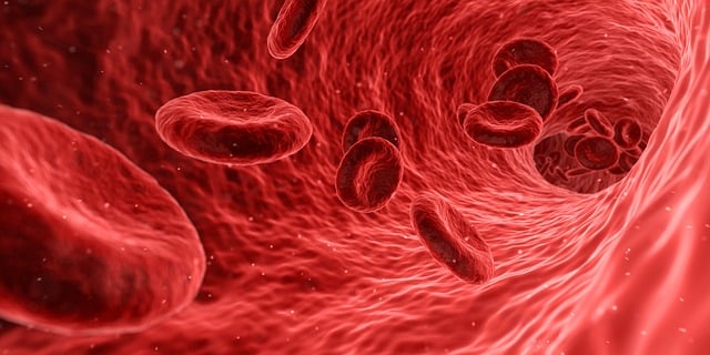 Le traitement d'image dans le domaine de la Biologie et du Médical