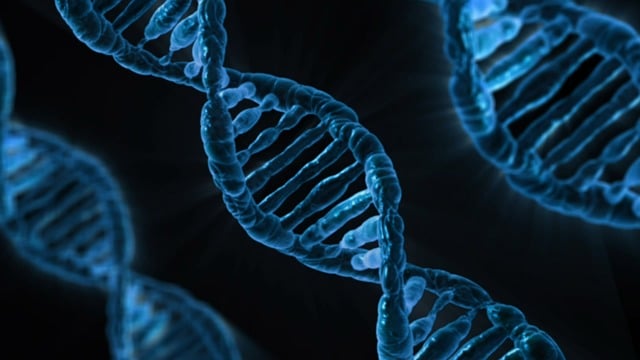 Lire la suite à propos de l’article Le traitement d’image dans le domaine de la Biologie et du Médical