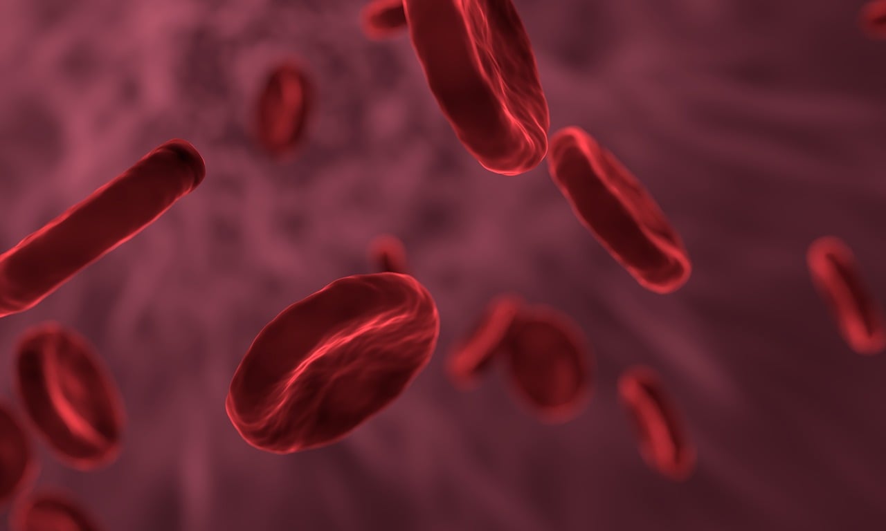 Lire la suite à propos de l’article Cytométrie en flux : une technologie clé en biologie et médecine